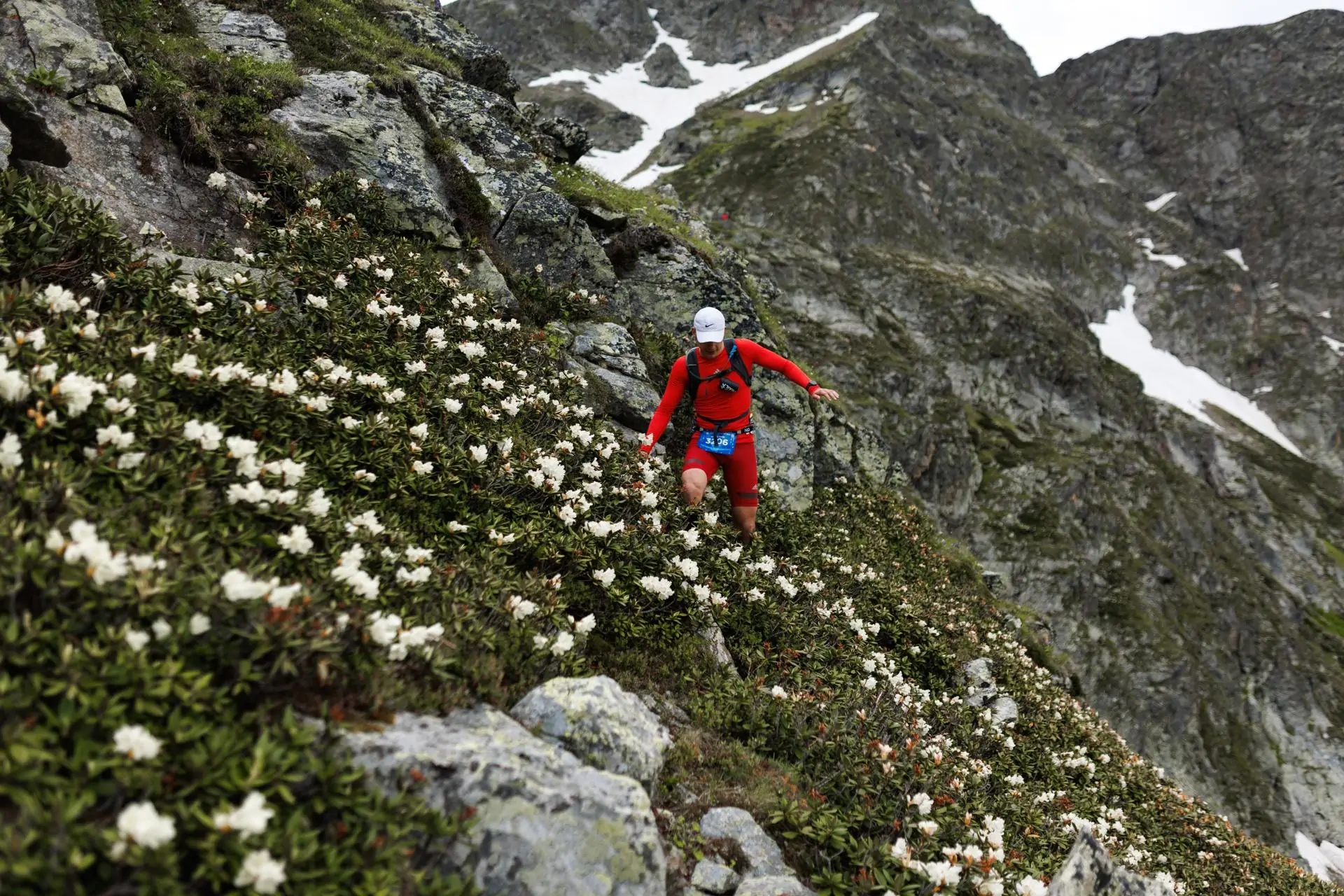 ЕДИНЫЙ ЦУПИС стал партнером серии забегов Wild Trail