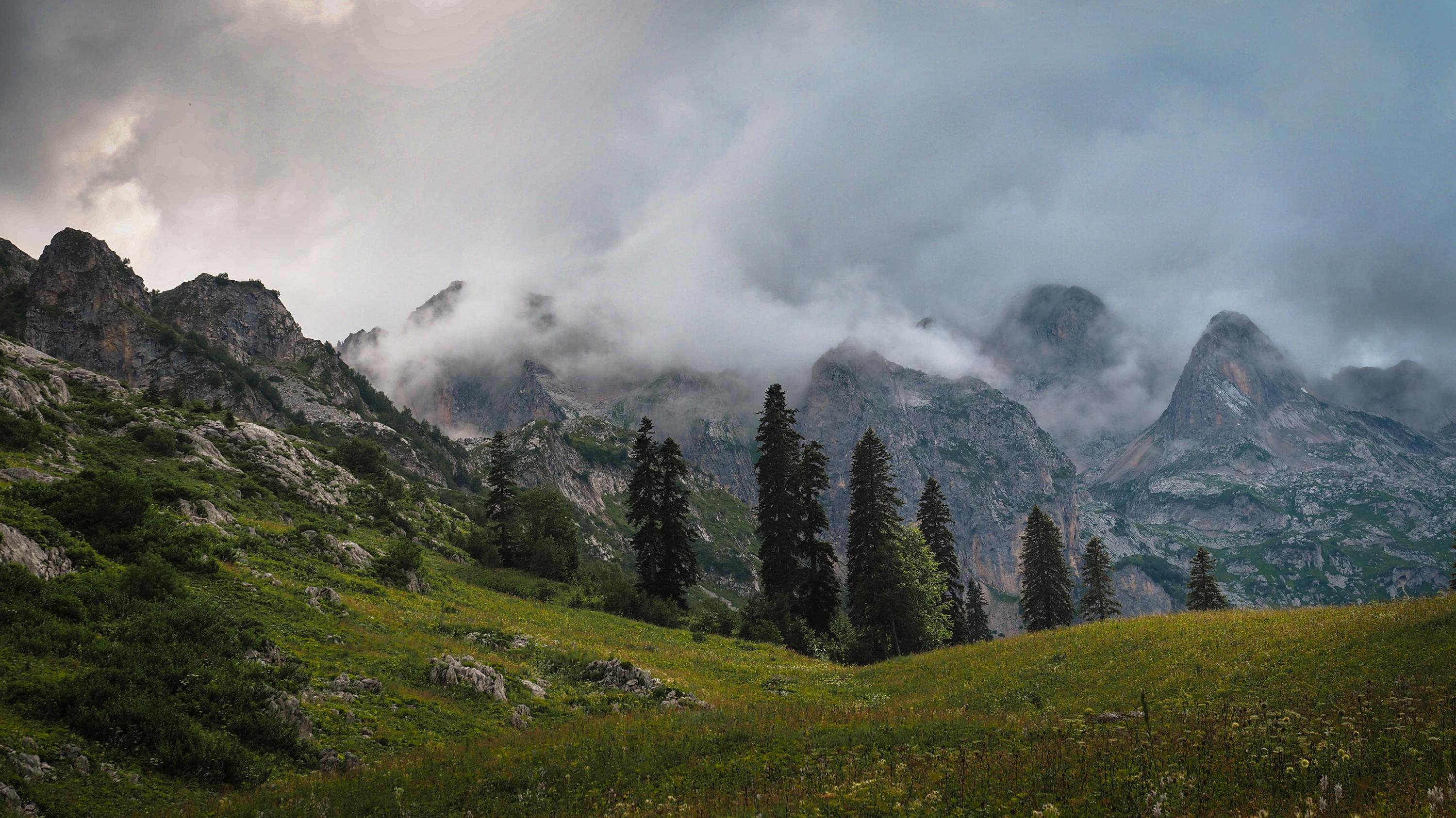 Wild mountain. Abkhazia Wild Mountain Race 2019. Поляна Абхазия. Абхазия в Красном. Пастуший Балаган Абхазия.