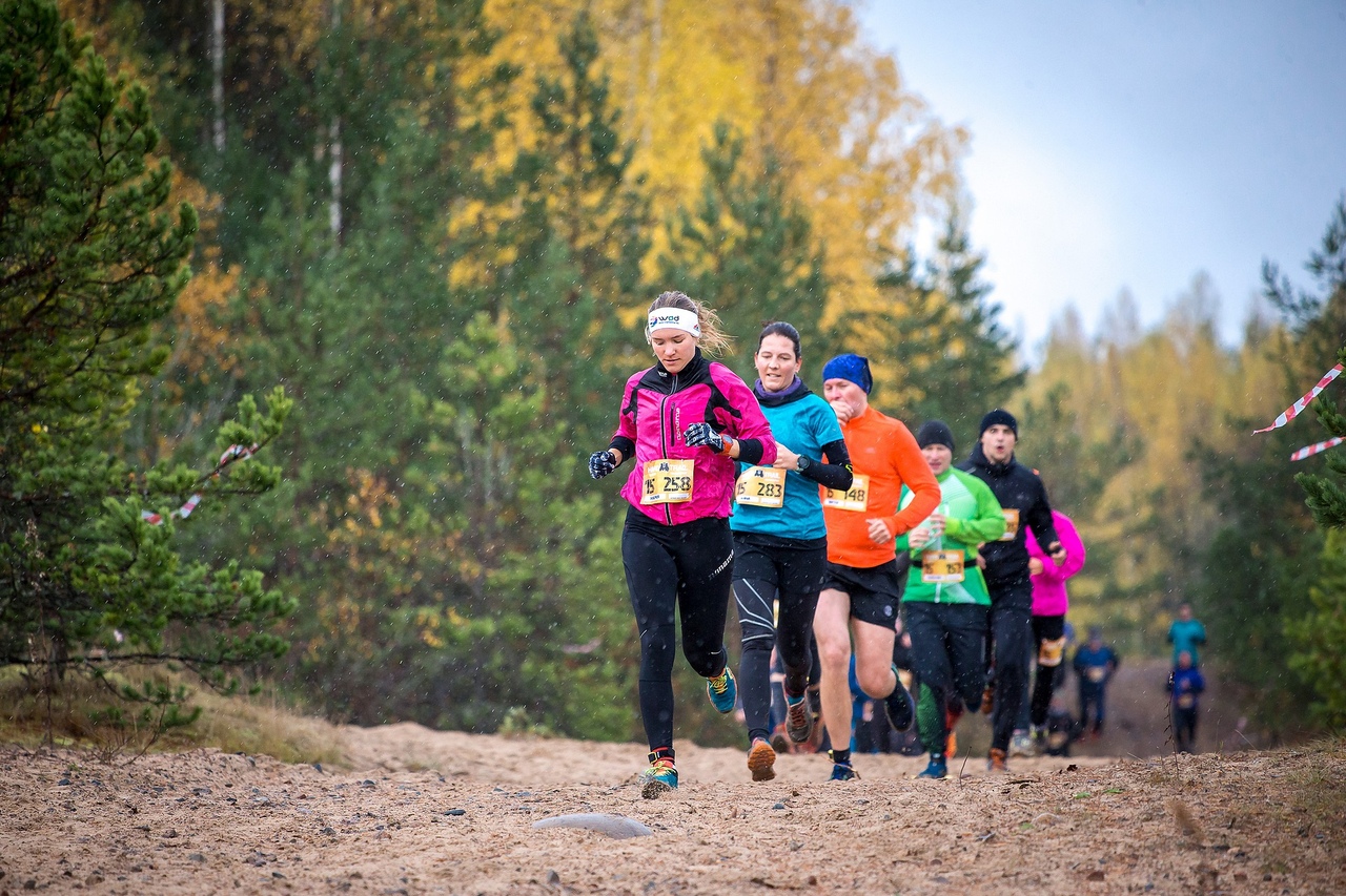 Трейл ближний. [Трейл 2020. Hard Trail 2022. Hard Trail 2021. Хард Трейл 2021 10км.