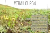 Samba Trail Backyard: Вертикальный безлимит IV