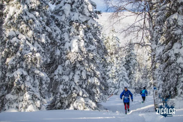 Результаты Zigalga Trail 2021