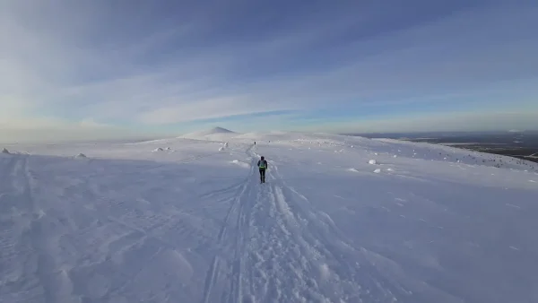 Результаты AURORA TRAIL 2022