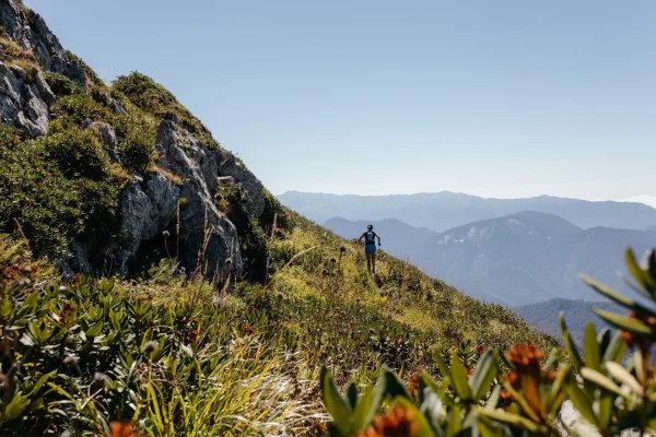 Результаты HOKA Wild Trail 2021