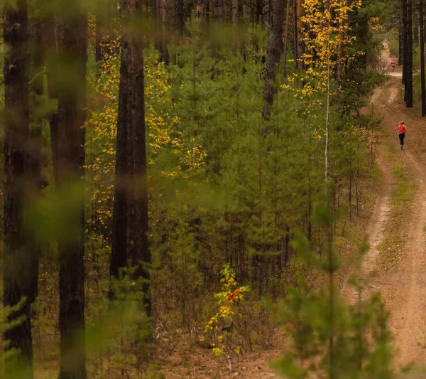 Результаты забега ОКТОБЕРТРЕЙЛ 2026 (TAIGA TRAIL SERIES)