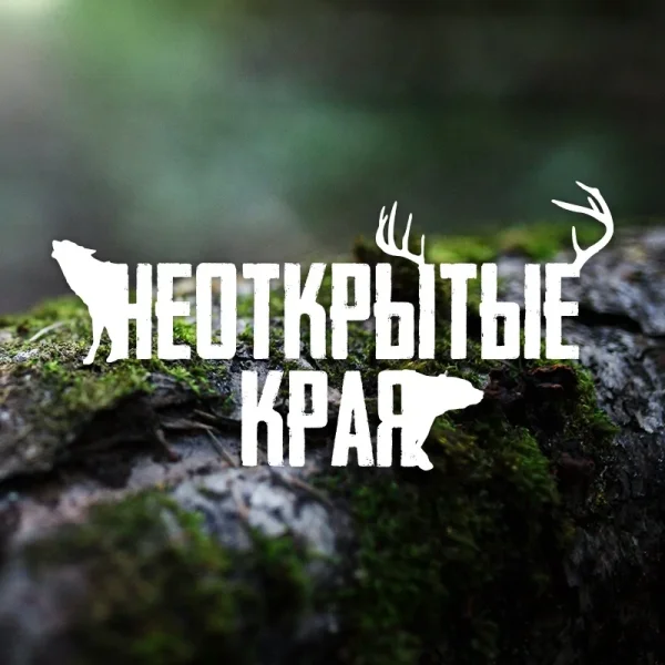 Результаты этапа последнего этапа кубка "Неоткрытые Края" -  "Ночной вызов" 2020