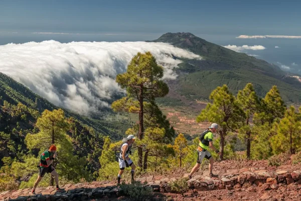 Transvulcania 2026: Митяевы среди фаворитов гонки