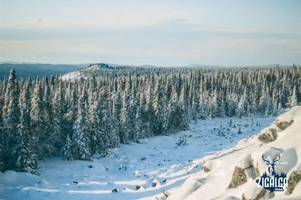 Результаты Zigalga Trail 2023