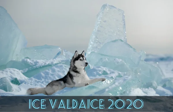 Ice Valdaice 2020 - зимний трейл-марафон в день защитника Отечества!