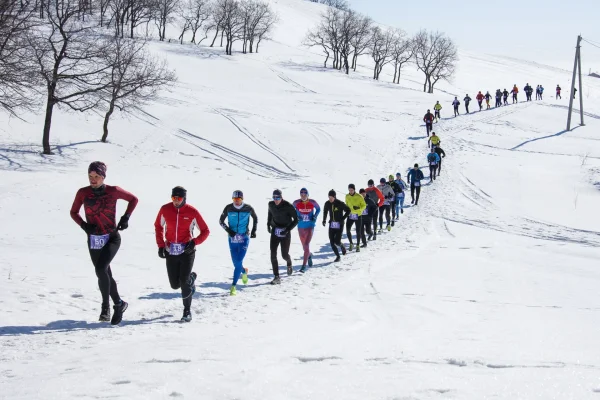 Результаты забега "Снежные холмы" 2021 - первого этапа Samba Trail Cup 
