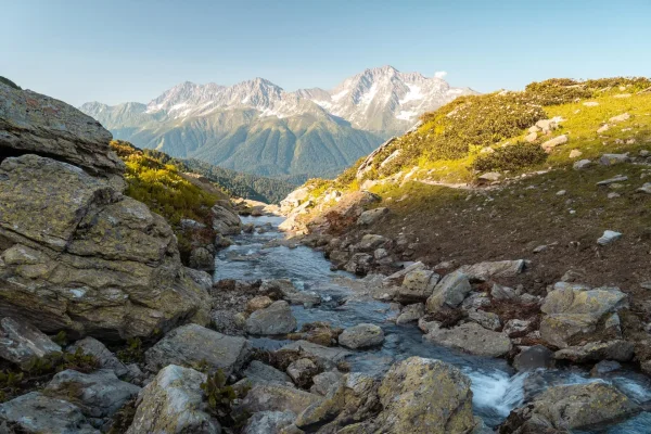 ​Salomon Wild Trail - Фестиваль ультимативной красоты