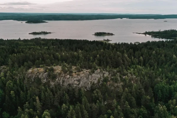 Результаты Riekkalansaari Fest 2024 – забега в сердце Карелии