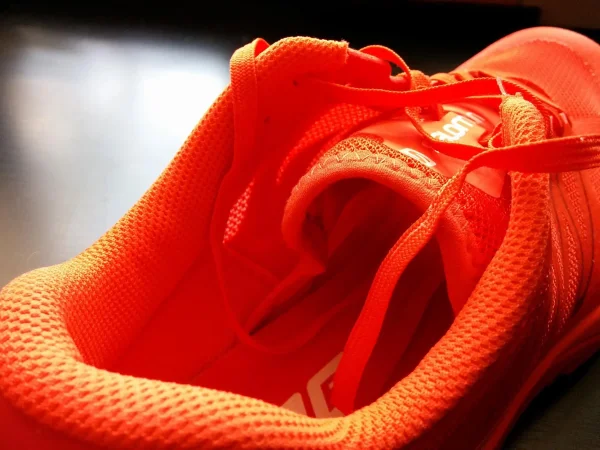 Salomon S-lab Sonic. Впечатления после года использования.