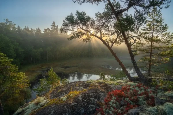Riekkalansaari Trail 2022. Результаты 