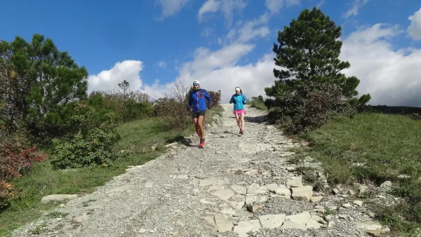 В чем бежать Sportmaster Pro Trail в Геленджике? Экипировка для бега весной и осенью