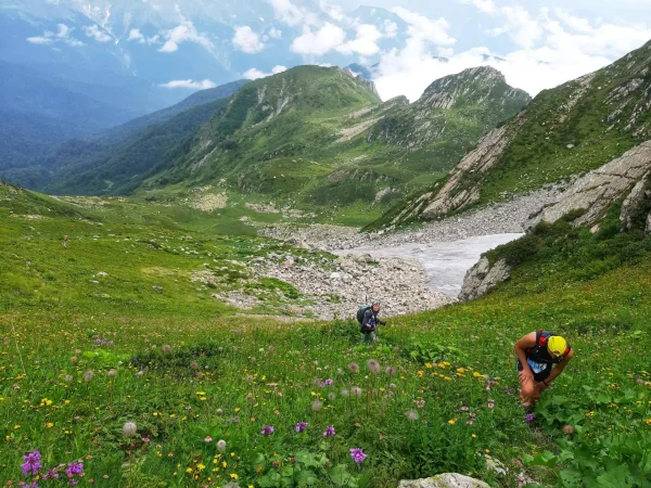 Результаты Красная Поляна Alpindustria Trail